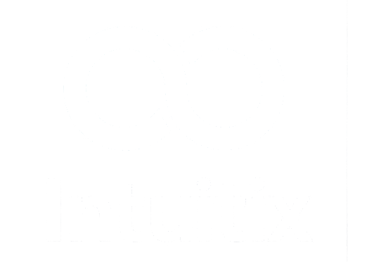 Intuitix